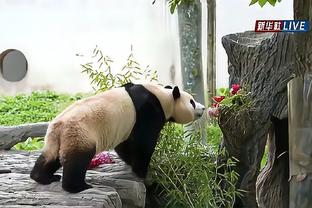 张琳艳23岁生日，热刺女足官方社媒晒海报送祝福